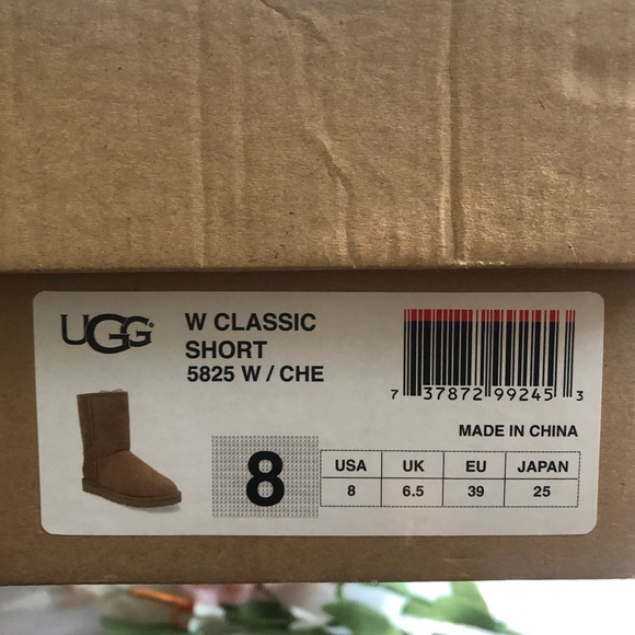 Classic Short Brown UGGs - Picture 8 of 8